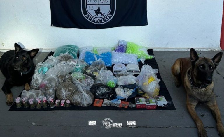 CÃES DO 5º BAEP LOCALIZAM MAIS DE 21 KG DE DROGAS DURANTE OPERAÇÃO NA ZONA LESTE DA CAPITAL